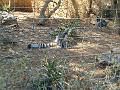 2005-08 La BArben 066